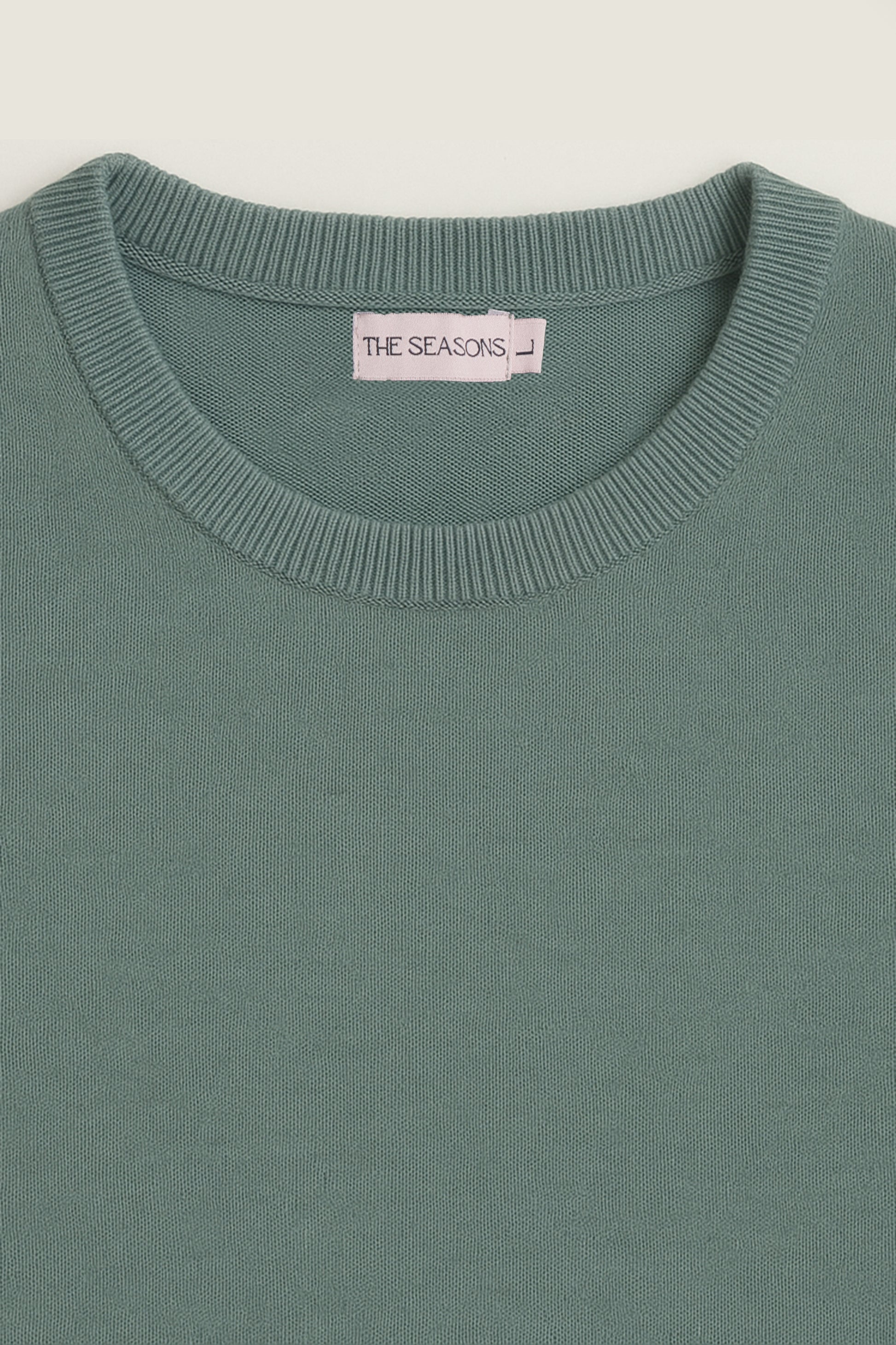 Sage Crewneck mockup closeup shot for men from The Seasons